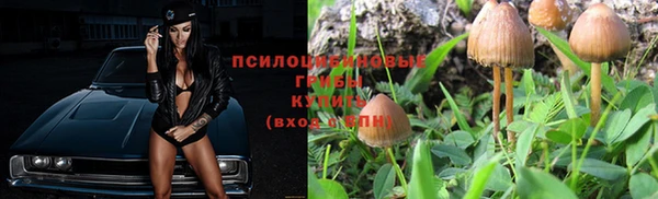 твердый Аркадак