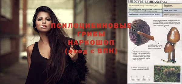 ПСИЛОЦИБИНОВЫЕ ГРИБЫ Армянск