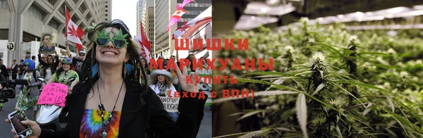 твердый Аркадак