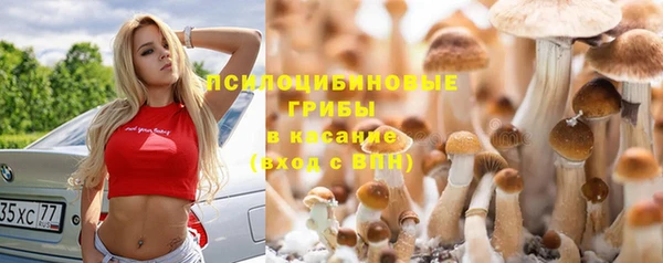 бошки Приозерск