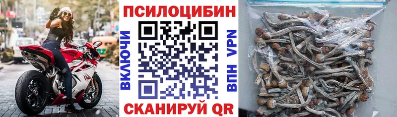 где можно купить Лянтор Галлюциногенные грибы прущие грибы